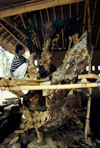 bali - wood carving near ubud 2.jpg